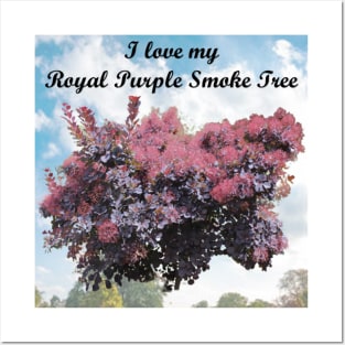 I Love My Royal Purple Smoke Tree #1 Posters and Art